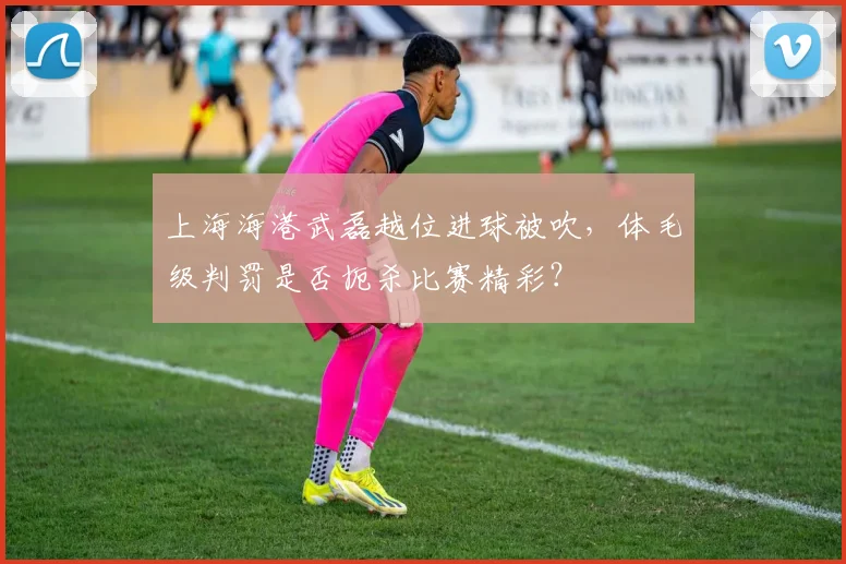 上海海港武磊越位进球被吹，体毛级判罚是否扼杀比赛精彩？
